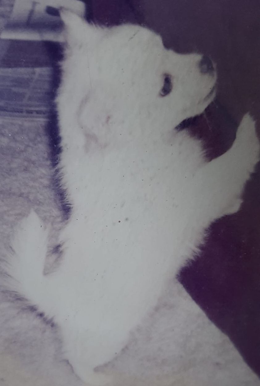 Puff - Gabby's Friend
