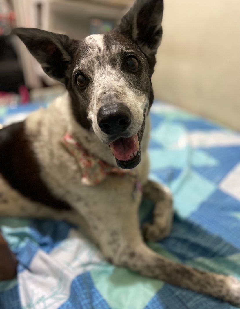 Zoey - Gabby's Friend